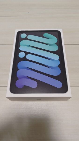 iPad mini A17 Wi-Fiモデル 第7世代 128GB バッテリー100% 充放電6回 スペースグレイ