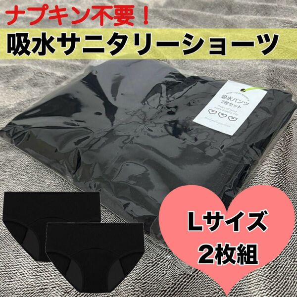 吸水サニタリーショーツ Lサイズ 2枚組 ブラック コットン ナプキン不要 ズレない 漏れ防止 生理用品 洗い替え用 防災グッズ