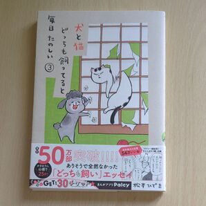 犬と猫どっちも飼っていると毎日たのしい③