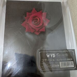 【未開封】ALIVESTAGE EP4 WYD コサージュ Growth ブロマイド付