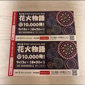 グリーンランド 花火 入場券 2枚 4名様