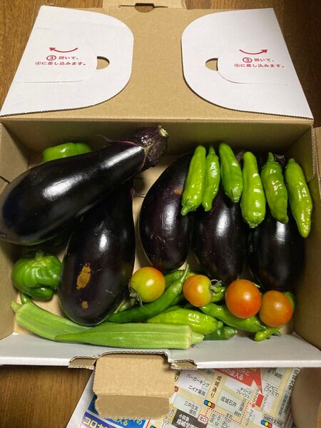 本日取り採れたて野菜詰め合わせ無農薬で育てたナス5個、ピーマン3個、オクラ2個、ミニトマト4個、青唐辛子10個、ししとう10個