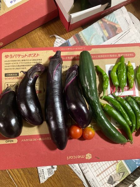 無農薬新鮮な野菜セット(ナス、キュウリ、お楽しみ辛甘シシトウ、ミニトマト、青唐辛子