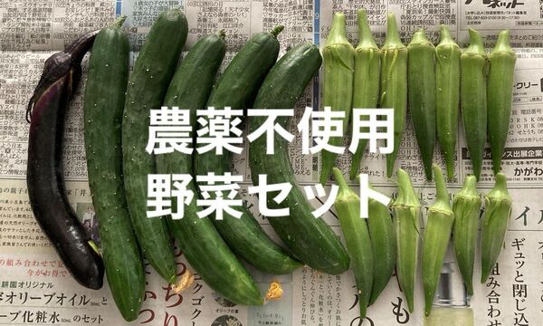 農薬不使用 有機肥料 (訳あり)きゅうり・オクラ・ナス