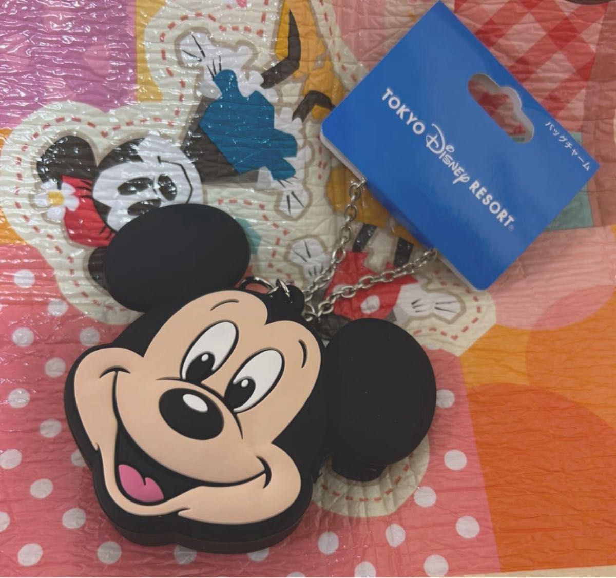 新品】東京ディズニーランド バッグチャームケース付き ミッキー