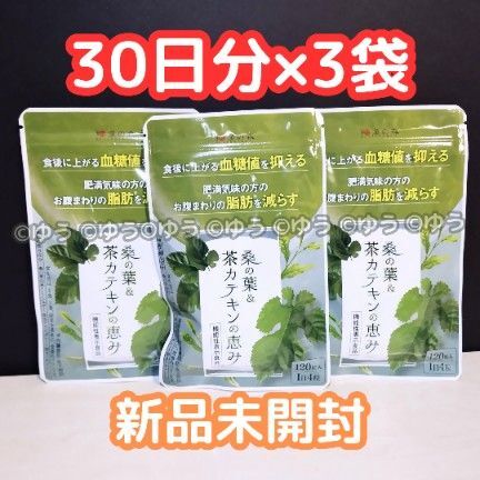 桑の葉&茶カテキンの恵み【30日分×3袋 】和漢の森 14時発送