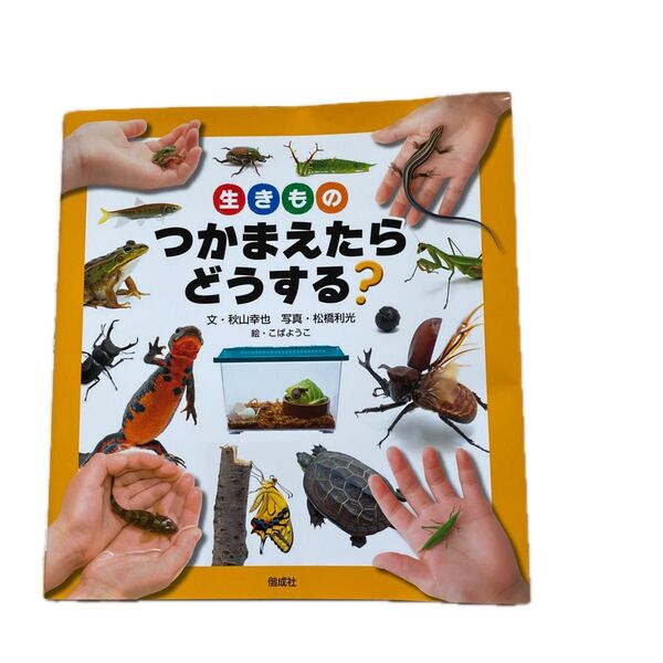 生きものつかまえたらどうする? 秋山幸也/文 松橋利光/写真 こばようこ/絵