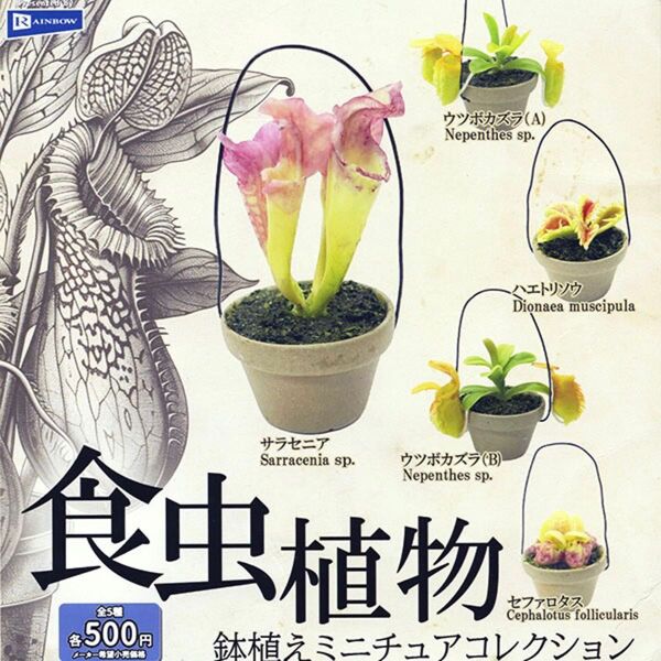 【未開封・コンプリート】レインボー 食虫植物 鉢植えミニチュアコレクション カプセルトイ ガチャ フィギュア
