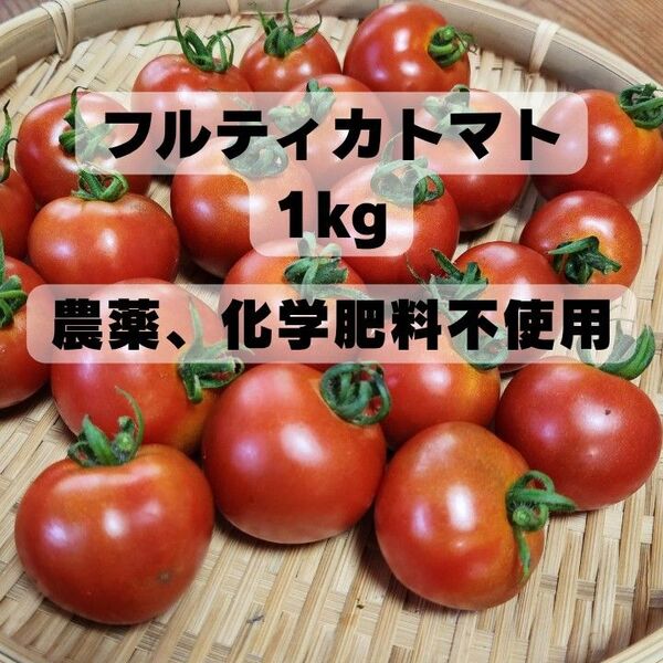 フルティカトマト1kg農薬不使用 ミニトマト中玉トマト