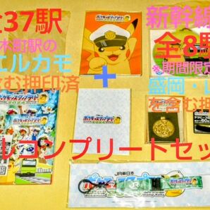 ポケモンスタンプラリー2024 スタンプ帳(スペシャル版)全45箇所押印済み フルコンプリートセット ポケモンメガスタンプラリー
