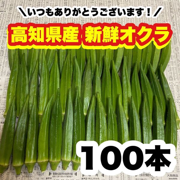 100本 高知県産 オクラ 野菜 即購入OK 産地直送 odj