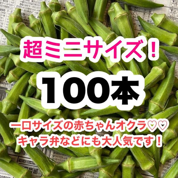 【8/13〜順次発送!】超ミニ 100本 高知県産 オクラ 野菜 即購入OK 産地直送 ojgtp