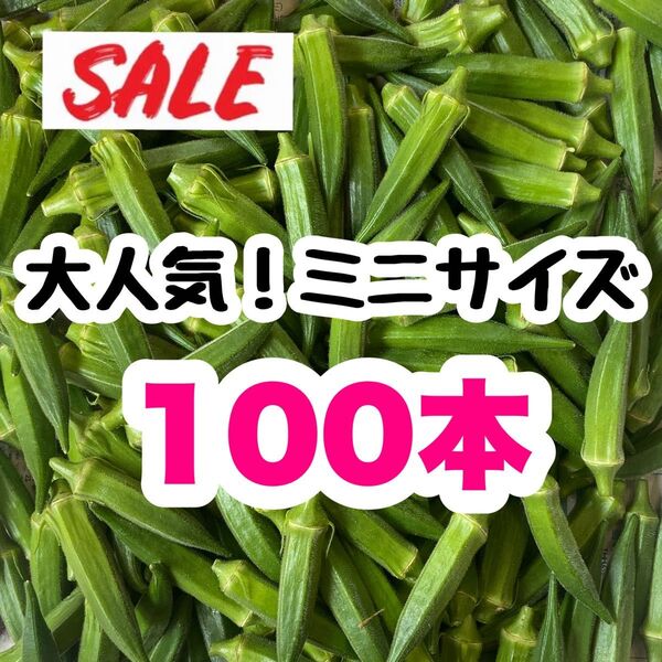 【8/13〜順次発送!】ミニ 100本 高知県産 オクラ 野菜 即購入OK 産地直送 mtgF