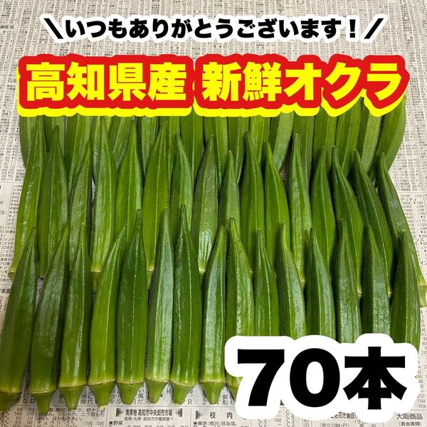 70本 高知県産 オクラ 野菜 即購入OK 産地直送 olj