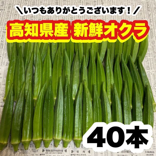40本 高知県産 オクラ 野菜 即購入OK 産地直送 wmf