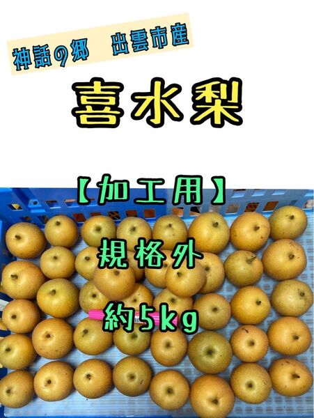 (=^ェ^=)規格外のため【ジャム・ジュース等の加工用】喜水梨 【約5kg〜】