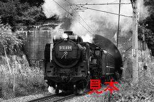 鉄道写真、35ミリネガデータ、106382130007、D51-498＋12系（SL快速アップル号試運転）JR信越本線牟礼～古間間、1994.10.26（2378×1577）