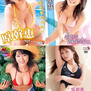 原幹恵 DVDまとめ売り