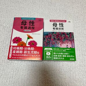 母性看護過程、母性看護技術