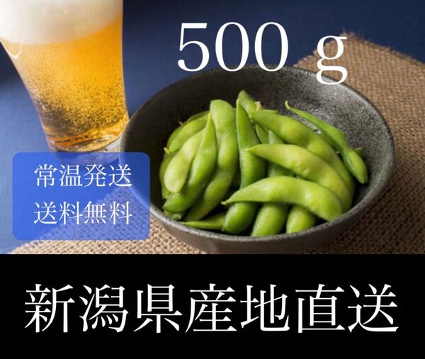 【畑からご自宅へ】採れたて枝豆 500g