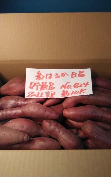 超お得!! 訳あり☆限定品☆ サツマイモ 千葉県産 べにはるか