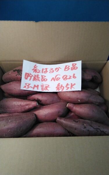 超お得!! 訳あり☆限定品☆ねっとり甘い貯蔵品紅はるかB品約5Kgです。 千葉県産 サツマイモ べにはるか