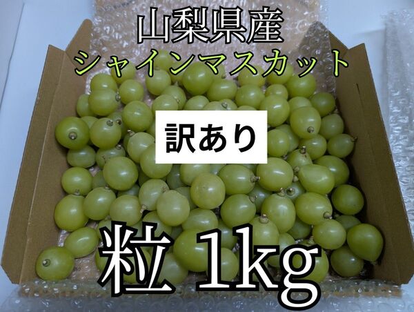山梨県産シャインマスカット粒売り1kg【訳あり】