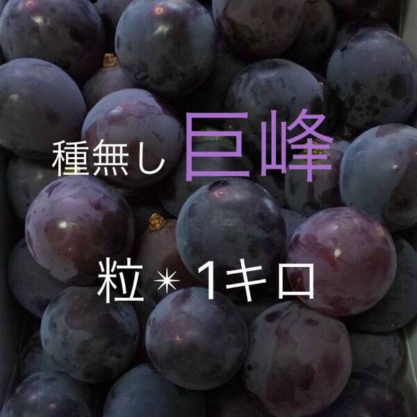 巨峰 種なし 粒 1kg