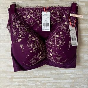 F65&M」トリンプ チャーミングラマースリムラインDeepV ブラ&ショーツ