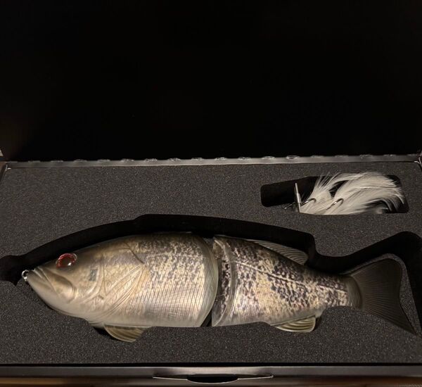 デプス 新品未使用 コードネームバス アカメ