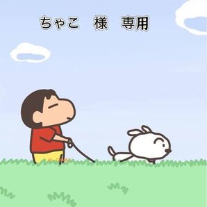 ちゃこ 様 専用ページ