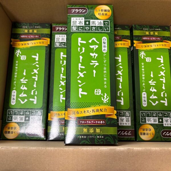 【5本セット】昆布と馬油のヘアカラートリートメント【昆布+馬油で髪に優しい】