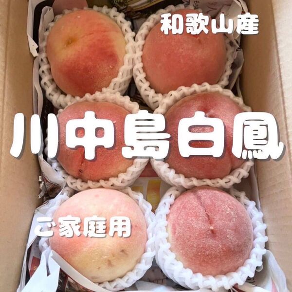桃 川中島白鳳 約1.2kg 5〜8玉 ご家庭用