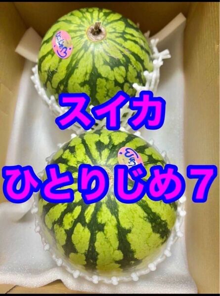 スイカ ひとりじめ7 700〜900g 2玉