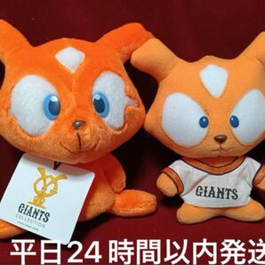 サンアロー ジャビットぬいぐるみ サンアンドスター ジャビットSSぬいぐるみ 2個セット