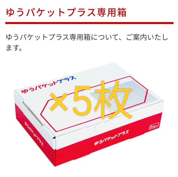 ゆうパケットプラス専用箱5枚
