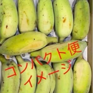 ナムア バナナ コンパクト便