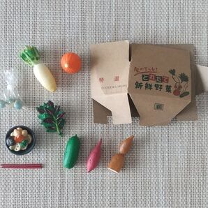 リーメント ぷちサンプル ふるさと納税便 5 食べまっし!新鮮野菜セット ミニチュア RE-MENT