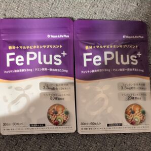 フェリチン鉄 3.3mg × 鉄分 × マルチビタミン 美容成分サプリ 8種の栄養機能食品 ビタミン ミネラル23種 30日分