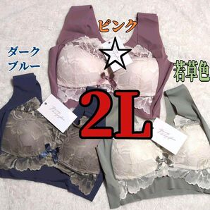 シームレスブラ ノンワイヤーブラ ナイトブラ 授乳ブラ バストアップ 美胸 細見え 2L ピンク