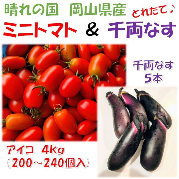 千両ナス&ミニトマトセット『岡山県産』5kg