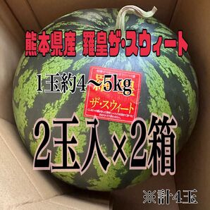 熊本植木産 スイカ 羅皇ザ・スウィート1玉約4~5kg 2玉入×2箱(計4玉)