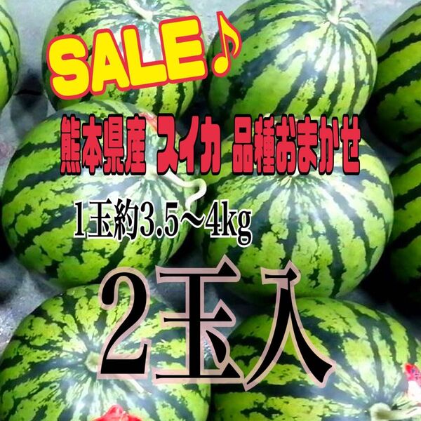 【SALE♪】熊本植木産 スイカ 品種おまかせ1玉約3.5~4kg 家庭用(2玉入)