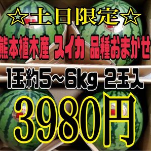 ☆土日限定☆熊本植木産 スイカ 品種おまかせ1玉約5~6kg 家庭用(2玉入)