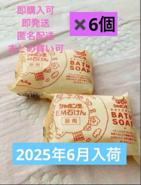 シャボン玉石けん EM化粧石けん 100g 6個
