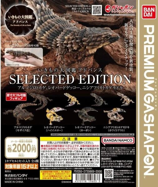 袋未開封 いきもの大図鑑 アドバンス selected edition 4種 アルマジロトカゲ モザイク改