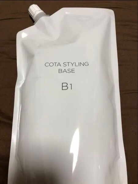 コタB1