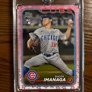 2024 Topps Japan Edition Shota Imanaga 桜パラレル 99シリ