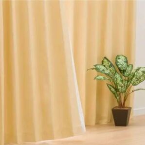 カーテン 遮光1級・保温・遮熱・遮音(ニトリ)