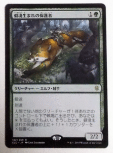 ＭTG日本語/僻境生まれの保護者/エルドレインの王権/レア